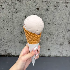 COCODEAL】メッシュプリントギャザーワンピース ベージュフラワー 