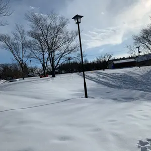 Independent stage10 139 Eric Koston - メルカリ