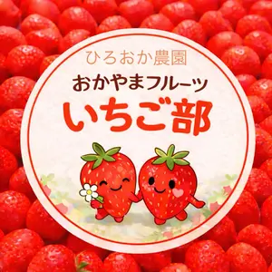 今が旬‼️スターナイト‼️朝採いちご1箱4パック入1kg以上 クール便送料
