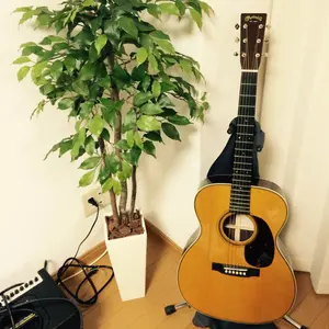 ポケモンカード PSA10 2枚セット ブラッキー ギラティナ - メルカリ