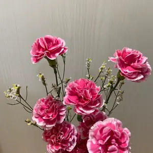 たぬたぬ　プロフ必読