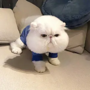 配信機材セット（AG03/Rubix 22/V67G） 配信機材セット（AG03/Rubix 22/V67G） - メルカリ