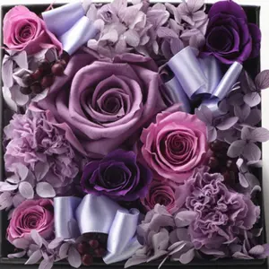 Minako様専用ブラックのiPhone 15promaxデビル : Devilcase デビルケース 耐衝撃ケース MagSafe用 iPhone15 &frasl; iPhone15 Pro &frasl;  iPhone15 Pro Max &frasl; iPhone15 Plus ケース 米国MIL規格取得 カメラ保護機能 黄ばみ防止 透明感 (シルバー,