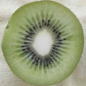 ちいかわ様専用】M.A.D SPORTS サーフパンツ 水着 26サイズ - メルカリ