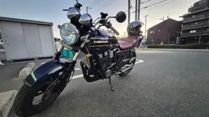 エリミネーター 250 SE/LX専用ショート管マフラー - メルカリ