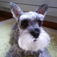 激レア ソナーテックSS-501 U3.4.5ツアーAD 85R - メルカリ