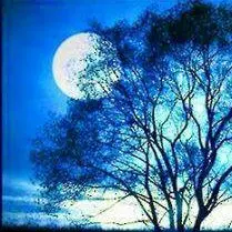 なとり/劇場/ピンバッジ/9種 - メルカリ