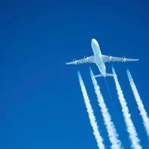 最終値下♦︎エルダーステイツマン ロンハーマン カシミヤ フーディー