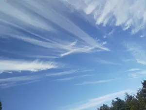 愛燦燦⑦」NEWデザイン扇子 新品⑤点 投扇興セット。 - メルカリ