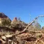 茶道具 茶碗 古門堂焼 岡崎信光造 - メルカリ