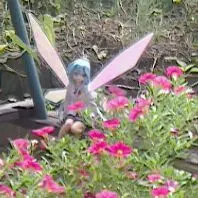 アイテム販売所