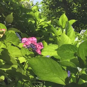 NANGA秀岳荘オリジナルUDD BAG 200 レギュラー - メルカリ