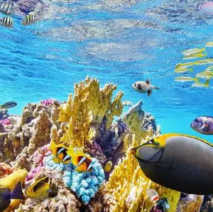 五等分の花嫁 中野一花 ドリーミーくじ アタリつき！ブロマイド まとめ