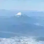 稀少】 【廃番】 DENBY LUXOR プレート 直径26cm 2枚 - メルカリ