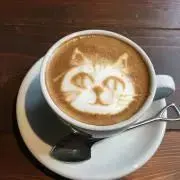 モデルルームの展示品 カリモク家具 ウォールナット昇降式サイド