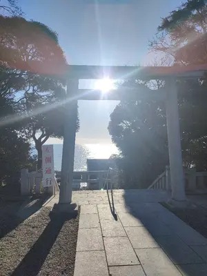 愛石家放出！日高翡翠【極上逸品】台座付 自然石 銘石 天然鑑賞石 水石