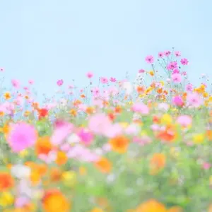 まとめ買い大歓迎！タバコ吸いません