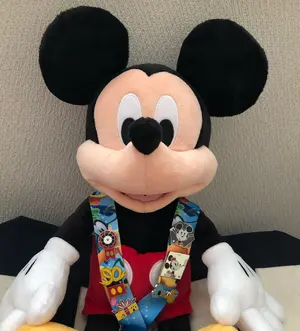 ディズニー　ピンバッジ　ピンバッチ　ピーターパン　ティンカーベル 海外 ディズニー LE ピーターパン&ティンカーベル クリスマス