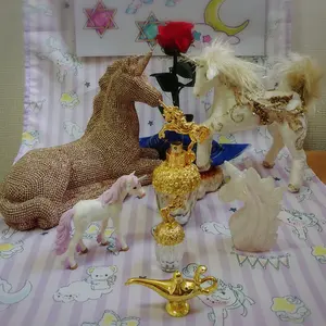 いるかおるか