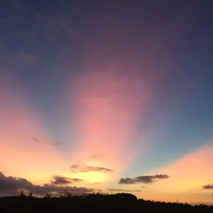 じゅんぴ様 須田剋太 - メルカリ