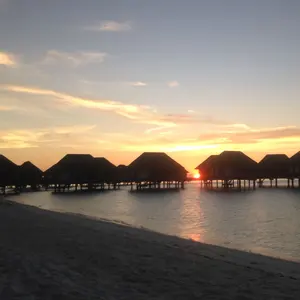 美品】ウィムガゼット ボアショールカラーコート ロング 人気 近年