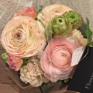 マックスファクター リップフィニティ 180 SPIRITUAL - メルカリ