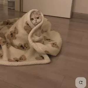 あいみょん 抱きしめて離さないクッション - メルカリ