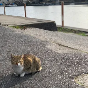 最終値下げ！OH済み、18バンタム hg右巻き、ルアー、カスタムハンドル