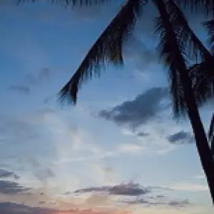 黒崎真音 直筆サイン入り チェキ 浴衣 ALICes アリセス 神田