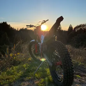 フロントフォーク ダンパー beta evo2t 2016 - メルカリ