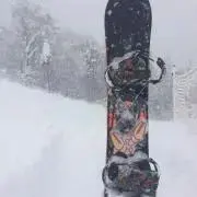 PSA10】ブラッキー＆ダークライGX SR buyee doorzo OK! - メルカリ