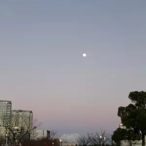 Dear sister hood デニムジャケット - メルカリ