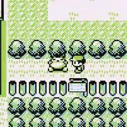 PSA10】ドラゴンバトラーズ ブロリー 超サイヤ人3 第4弾 - メルカリ