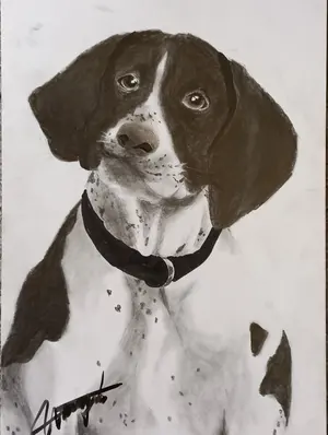 鉛筆画吉永小百合さんB4上質ケント - メルカリ