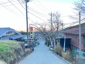 専用)s20 花梨スポルテッド瘤 0.5mm シャーペン - メルカリ