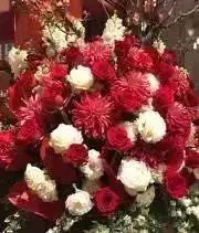 お値下げRene ルネ38 ワンピース 【美品】ネイビー - メルカリ