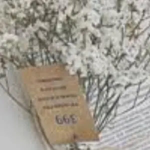 オトドラ シャレマニ 朗読劇 会場限定 フォトカード フォトカ 未開封