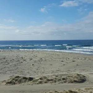 アルメリック　FEVER PU 5.11×18 7／8k×2 3／8 アルメリック FEVER PU 5.11×18 7／8k×2 3／8 アルメリック FEVER PU 5.11