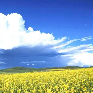 ふくチャン ☆プロフ確認お願いします‼