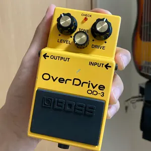 apple アップル 梅田 オープン記念 ノベルティ ピンバッチ