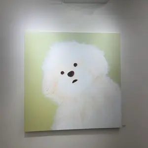 KAISE 42色 透明ジェルカラー ネイル - メルカリ