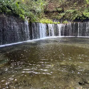 treasure ハルト 缶バッチアクスタセット - メルカリ