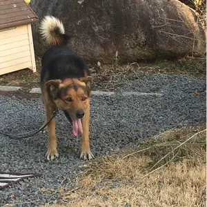 ユウ