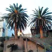 SMY☺︎週末セール✳︎詳細コメント欄