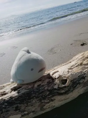 おはよう！スパンク なかよし60周年記念版 全巻セット☆かきおろし