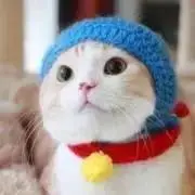 新品未使用品☆カシー☆HOディルーエF2本セット - メルカリ