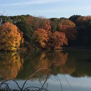 Mac Pro 2010 改装　M2SSD起動　最新OS グラボGTX 770 Mac Pro 2010 改装 M2SSD起動 最新OS グラボGTX 770 - メルカリ