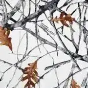 お宝品 】幽玄道士 テンテン サイン入り 色紙 キョンシー - メルカリ