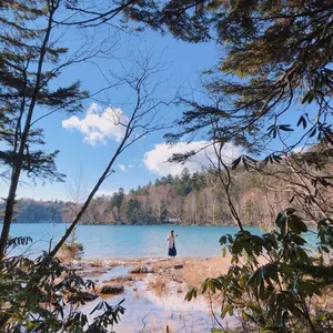 watson Soul Quake 2 - メルカリ