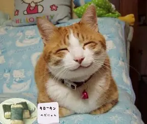 ささみ☆お値下交渉OK